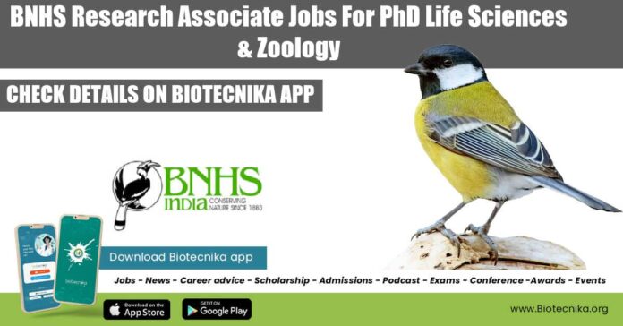 BNHS Research Associate Job