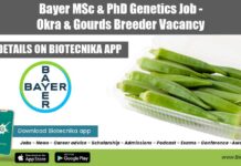 Bayer MSc & PhD Genetics Job – Okra & Gourds Breeder Vacancy Bayer Genetics Jobs