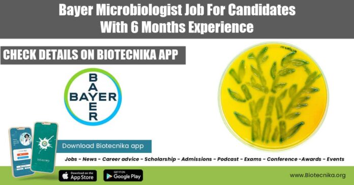 Bayer Microbiologist Job