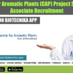 CAP Project Jobs