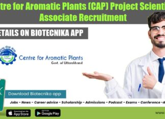 CAP Project Jobs