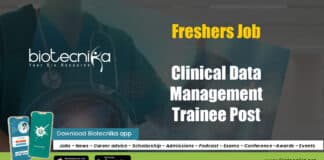 Freshers Clinical Data Job