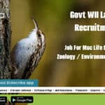 Govt WII Latest Recruitment – Job For Msc Life Science / Zoology / Environmental Science WII Life Science Job