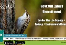Govt WII Latest Recruitment – Job For Msc Life Science / Zoology / Environmental Science WII Life Science Job