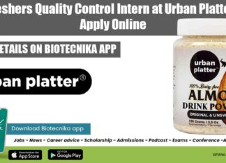 Freshers Internship India Food