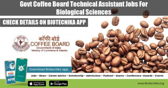 Govt Coffee Board Jobs