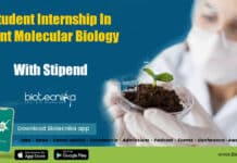 Student Internship In Plant Molecular Biology @ Dr. Rajendra Prasad Central Agricultural University Student Internship Molecular Biology