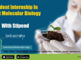 Student Internship Molecular Biology