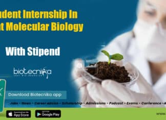 Student Internship Molecular Biology
