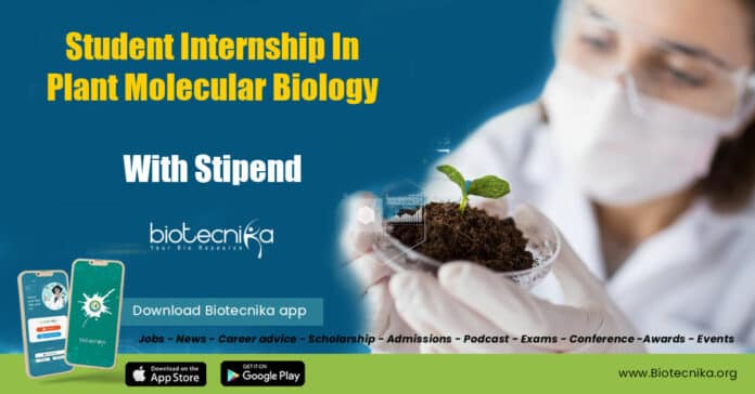Student Internship Molecular Biology