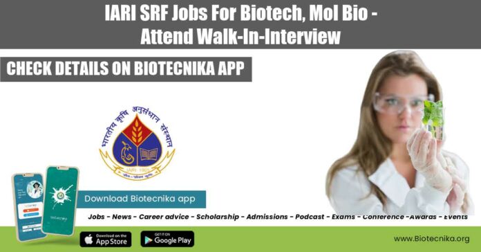 IARI Project 2022 Jobs
