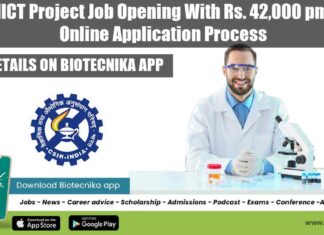 IICT Project Job 2022