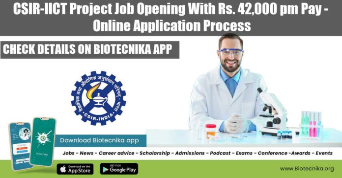 IICT Project Job 2022