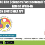 IIT Guwahati PDF Job