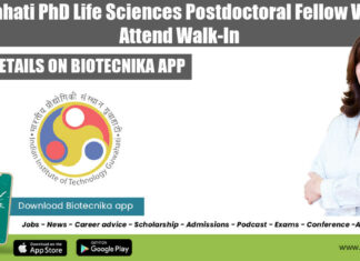 IIT Guwahati PDF Job