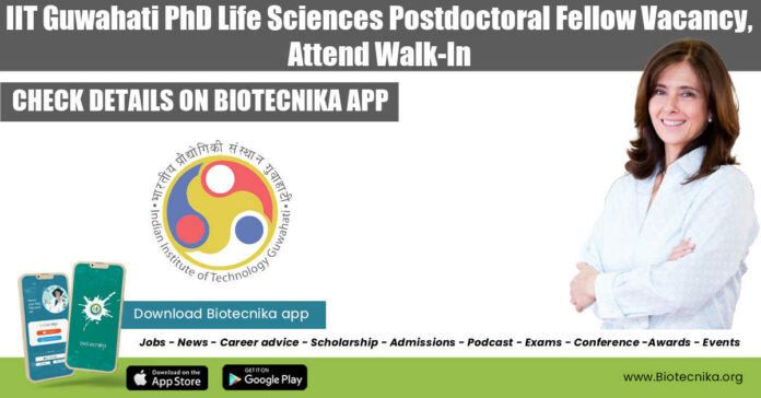 IIT Guwahati PDF Job