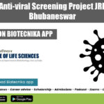 ILS Project Job 2022