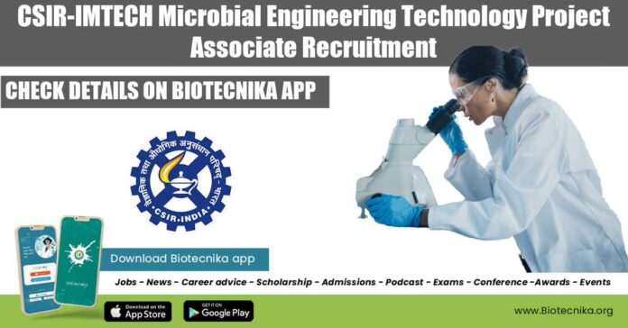 IMTECH 2022 Job Opening