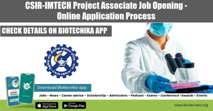 IMTECH 2022 Vacancy
