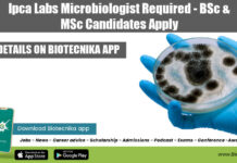 Ipca Labs Microbiologist Required – BSc & MSc Candidates Apply Ipca Labs Microbiology Job