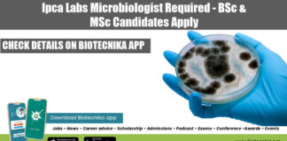 Ipca Labs Microbiology Job