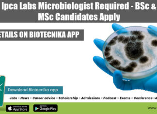 Ipca Labs Microbiology Job