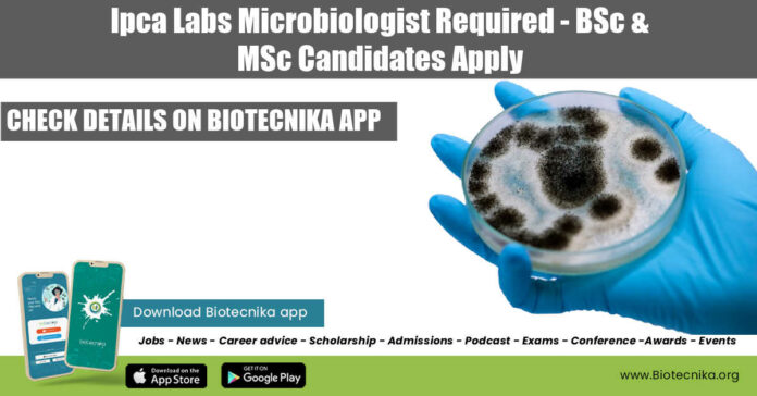 Ipca Labs Microbiology Job