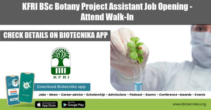 KFRI Botany Project Job