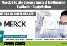 Merck Analyst Vacancy 2022