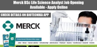 Merck Analyst Vacancy 2022