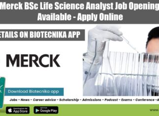 Merck Analyst Vacancy 2022