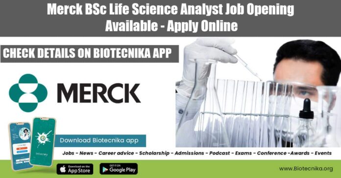 Merck Analyst Vacancy 2022