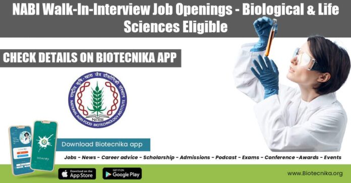 NABI Research Openings 2022