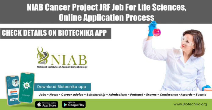 NIAB JRF 2022 Job