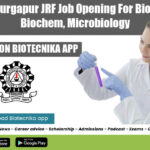 NIT Durgapur Research Job
