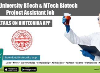 Panjab University BTech Job