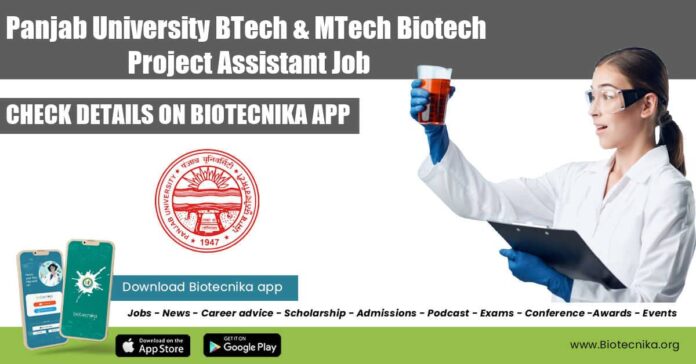 Panjab University BTech Job