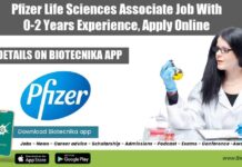 Pfizer Freshers Lifesciences Job