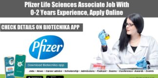 Pfizer Freshers Lifesciences Job
