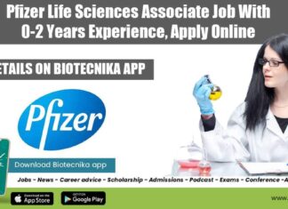 Pfizer Freshers Lifesciences Job