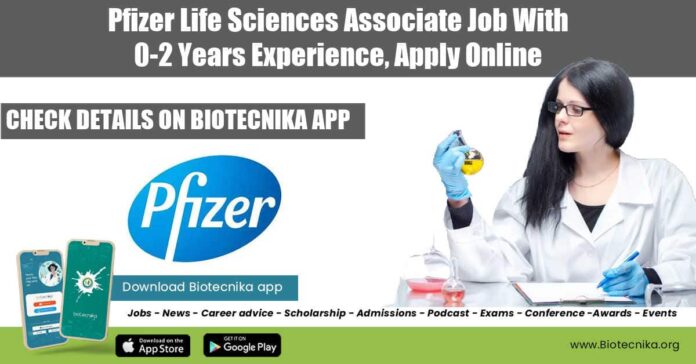 Pfizer Freshers Lifesciences Job