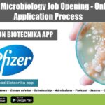 Pfizer Microbiology Job Opening – Online Application Process Pfizer Microbiology Job