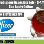 Pfizer Microbiology Associate Job – 0-4 Years Exp Can Apply Online Pfizer Microbiology Job 2022