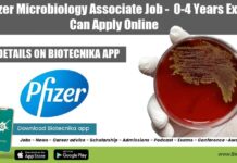 Pfizer Microbiology Associate Job – 0-4 Years Exp Can Apply Online Pfizer Microbiology Job 2022