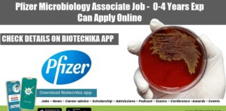 Pfizer Microbiology Job 2022