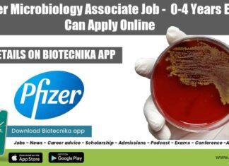 Pfizer Microbiology Job 2022