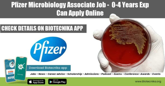 Pfizer Microbiology Job 2022