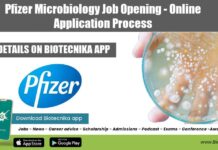 Pfizer Microbiology Job