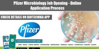 Pfizer Microbiology Job