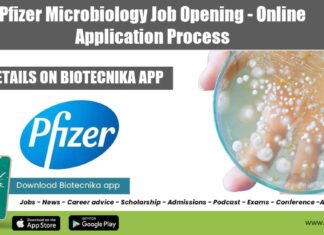 Pfizer Microbiology Job